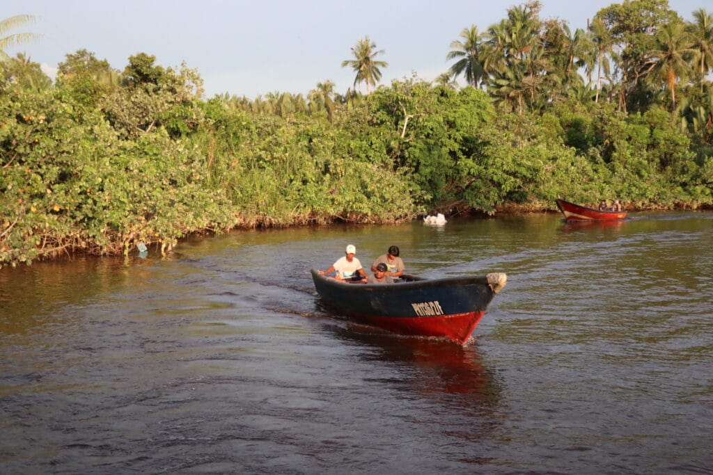River Cruises and Wildlife Encounters