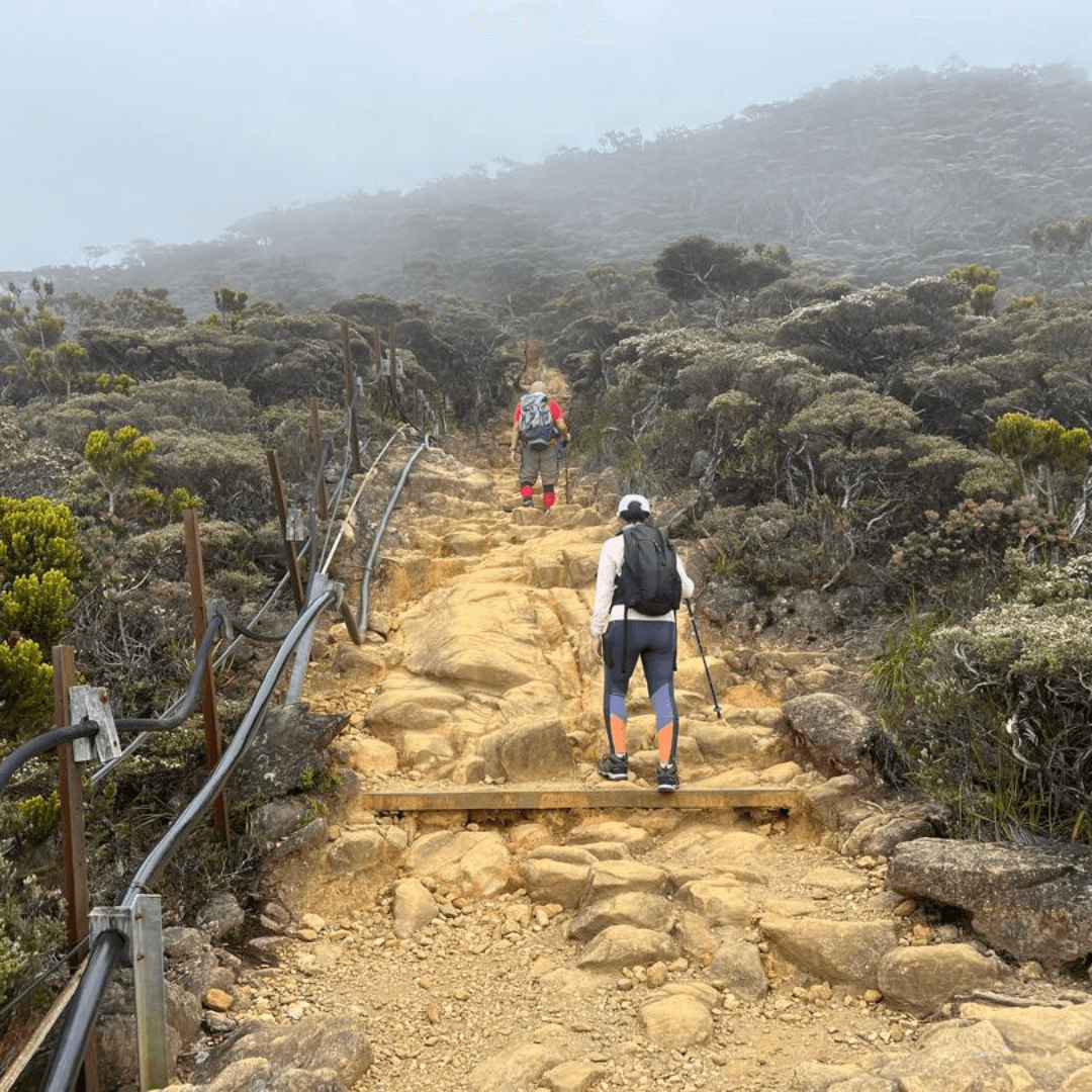 Mount Kinabalu Climbing