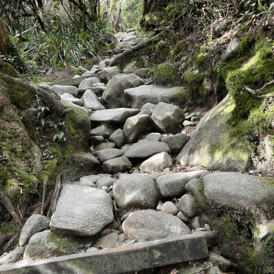 Mount Kinabalu Climbing