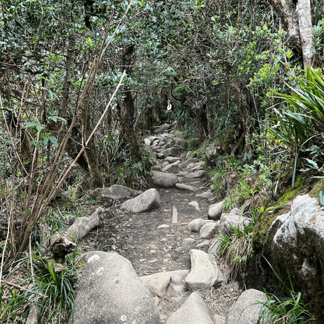 Mount Kinabalu Climbing