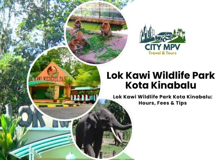 Lok Kawi Wildlife Park Kota Kinabalu