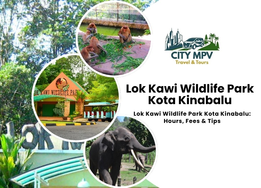 Lok Kawi Wildlife Park Kota Kinabalu