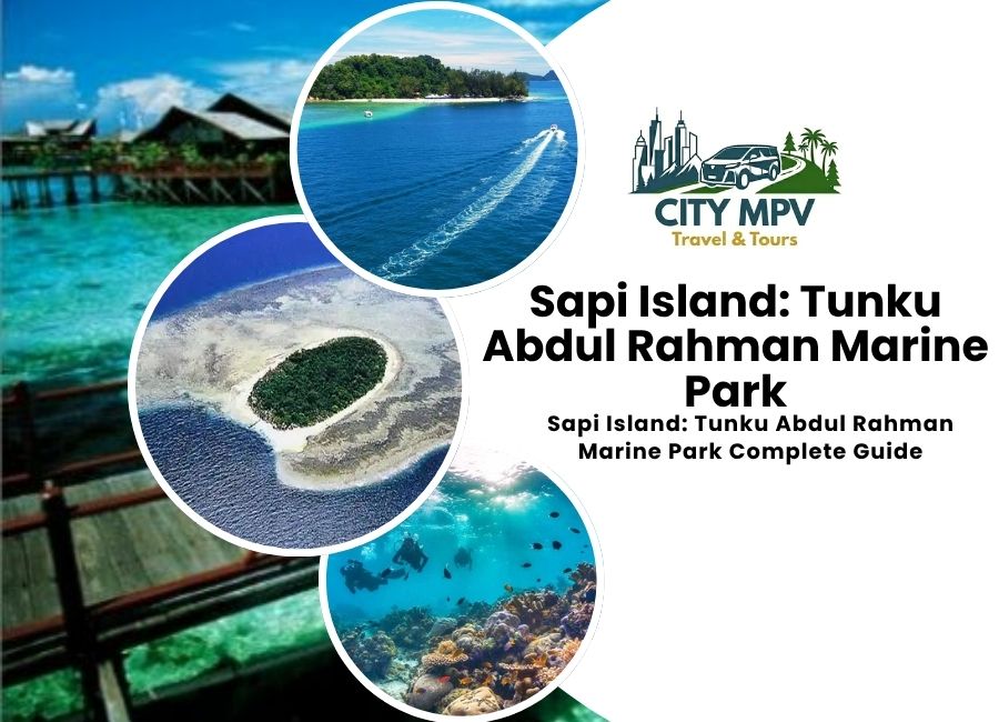 Sapi Island: Tunku Abdul Rahman Marine Park Complete Guide