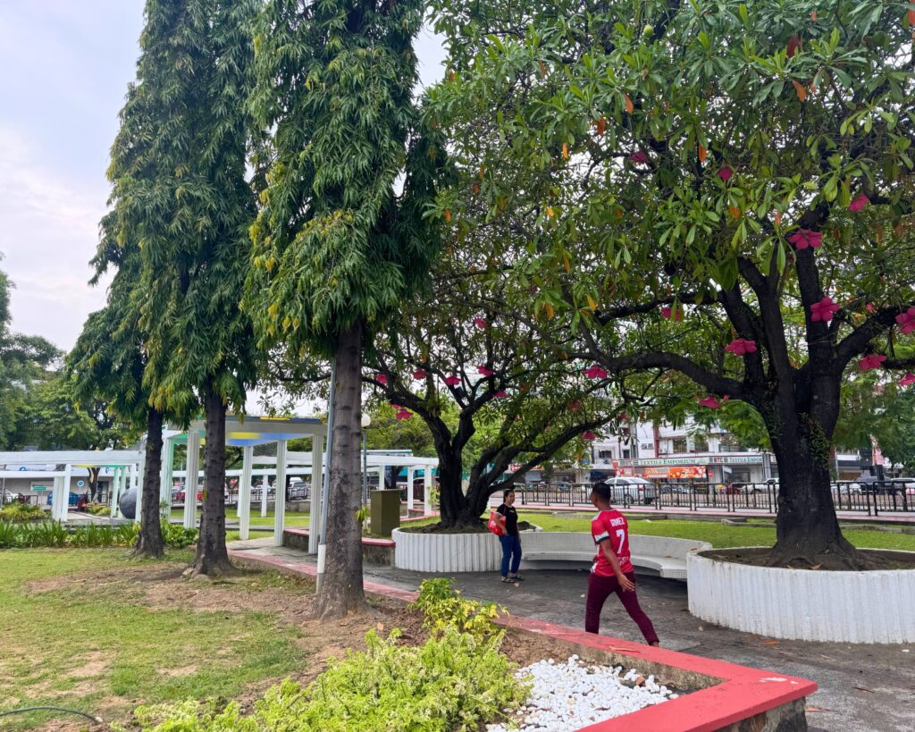 Guided City Walking Historical Tour KK