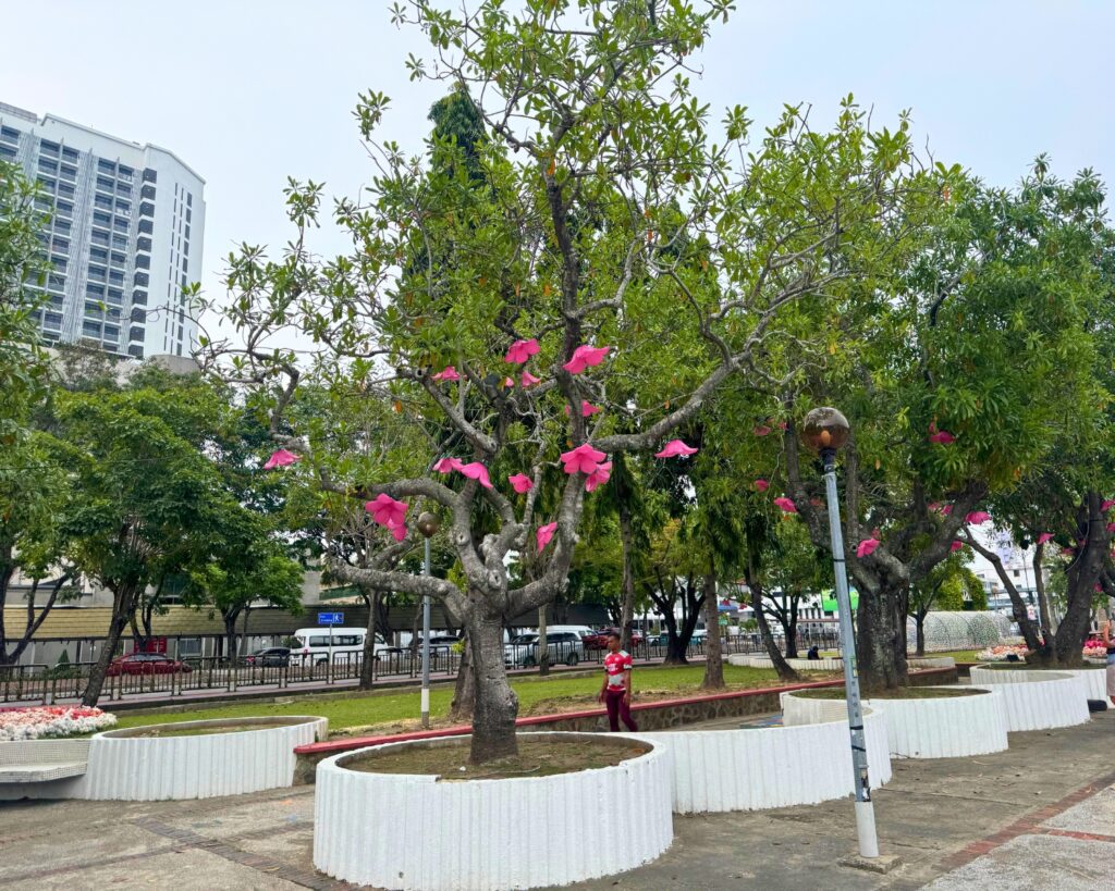 Guided City Walking Historical Tour KK